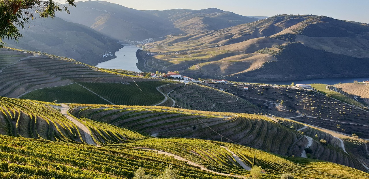Douro Valley Wine Tour