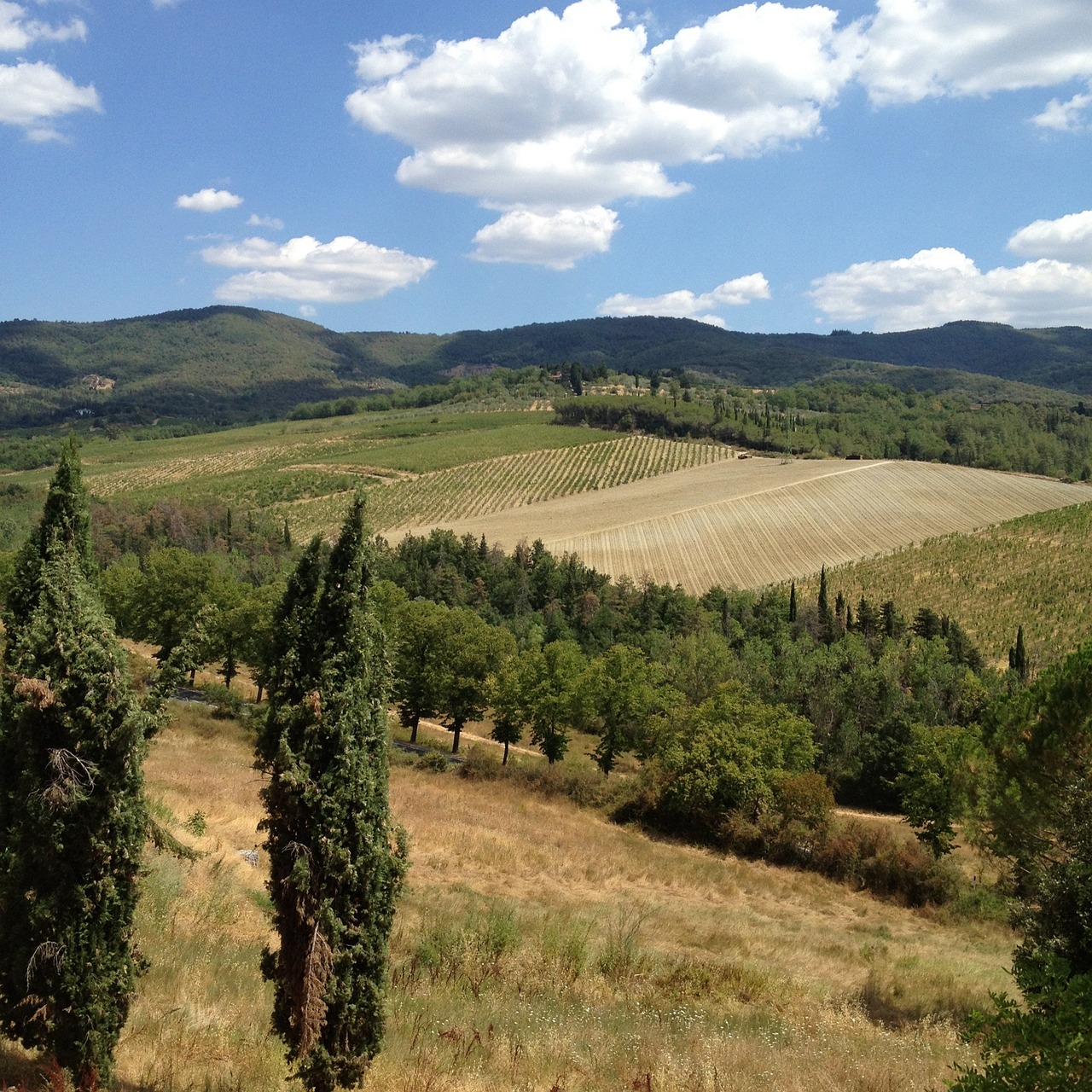 Tuscany Countryside and Vineyard Tour