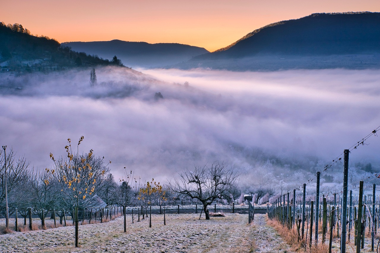 Meuse Valley Wine Tour
