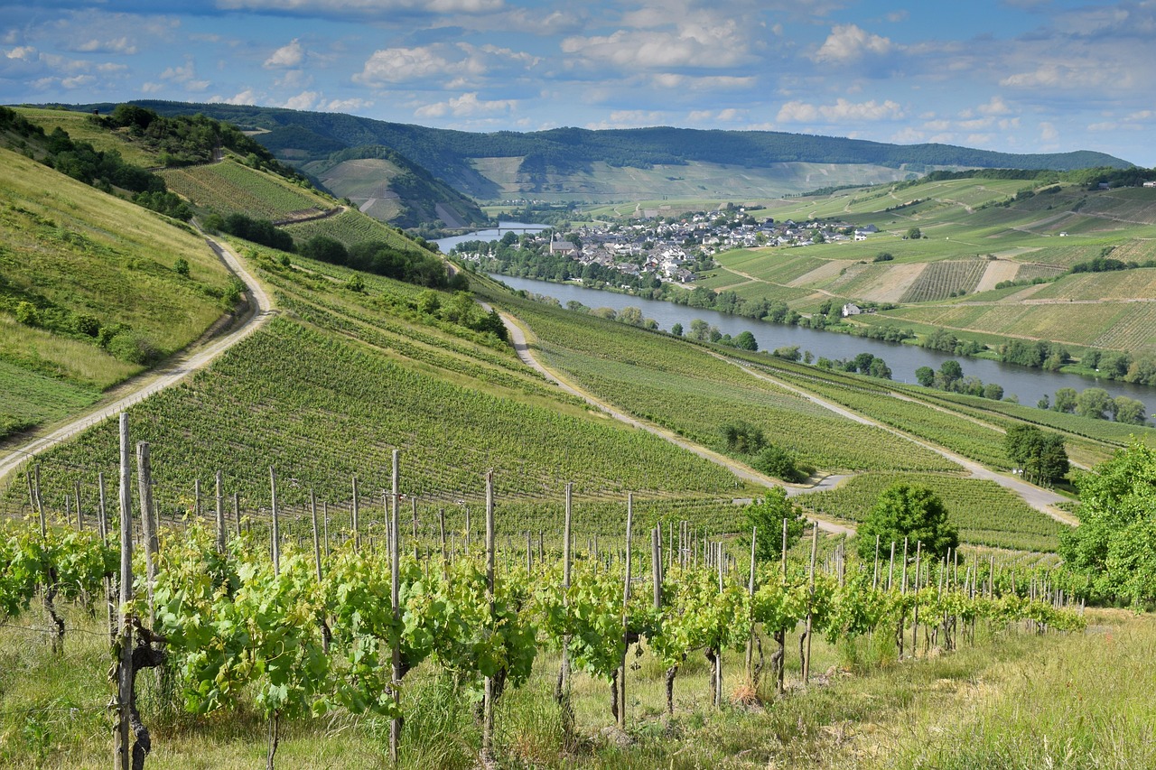 Meuse Valley Wine Tour